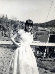 Glavno vlogo v filmu je odigrala Francozinja armenskega rodu, Hermine Karageozian